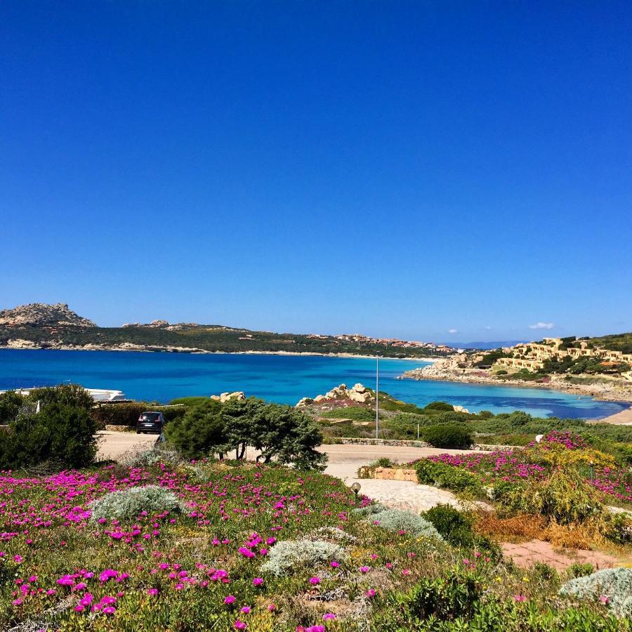 Appartamento Incantevole Con Vista Mare Buoncammino 외부 사진